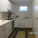 Woellner Nr 2 Maasholm